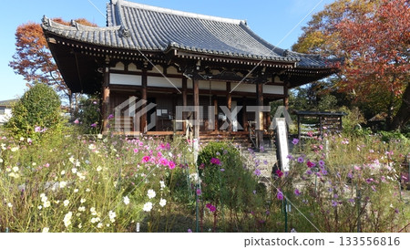 花寺：奈良般若寺 133556816