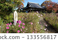 Flower Temple: Hannya-ji Temple in Nara 133556817