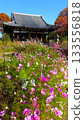 Flower Temple: Hannya-ji Temple in Nara 133556818
