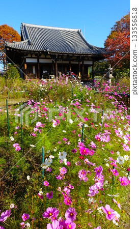 花寺：奈良般若寺 133556818
