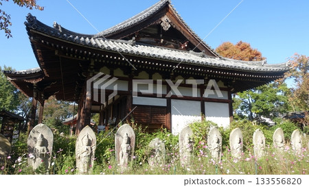 花寺：奈良般若寺 133556820