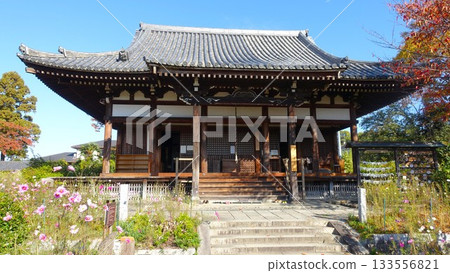 花寺：奈良般若寺 133556821