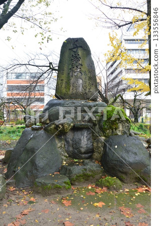 Chitose Sakura monument (Matsukawa Chaya (behind Matsukawa sightseeing boat dock / Honmaru, Toyama City, Toyama Prefecture) 133556846