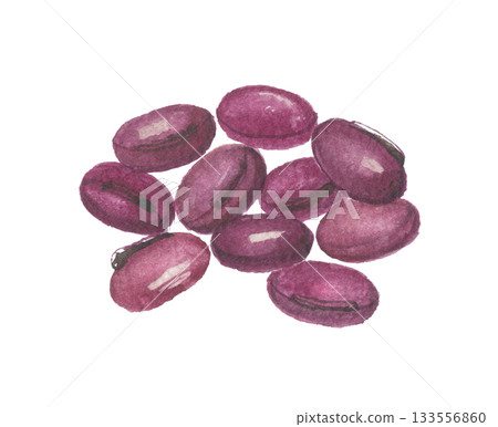 Red sword beans painted in watercolor 133556860