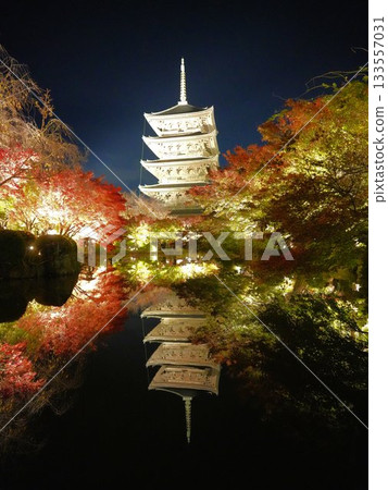 The illuminated five-story pagoda of Toji Temple in Kyoto and the autumn leaves reflected on the water surface 133557031