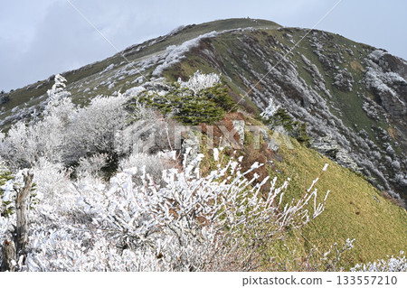 龜森山白霜（恩納山）8（愛媛郡西條市西之川） 133557210