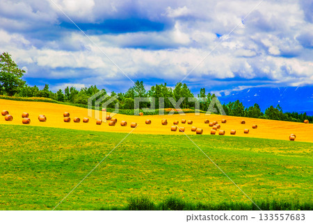 牧場的一角 133557683