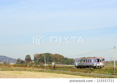 北條鐵道安比奇站的大銀杏(兵庫縣葛西市) 北條鐵道安比奇站的大銀杏(兵庫縣葛西市) 133557721