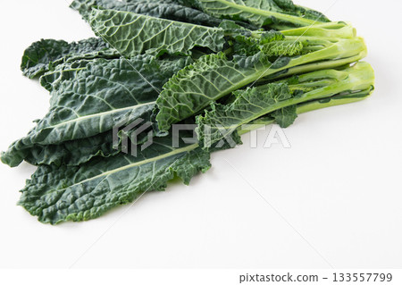 白色背景上的阿萊塔 133557799