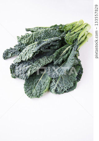 Aletta on white background Aletta on white background 133557829