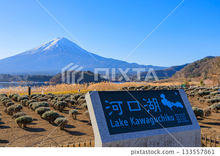 從河口湖大石公園可以欣賞到富士山和新年藍天的壯麗景色 133557861