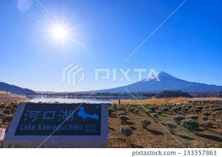 從河口湖大石公園可以欣賞到富士山和新年藍天的壯麗景色 133557863