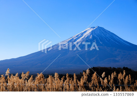 New Year's Mount Fuji and blue sky seen from Oishi Park New Year's Mount Fuji and blue sky seen from Oishi Park 133557869