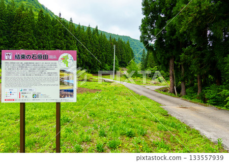 250531 岳日東的石牆稻田 133557939