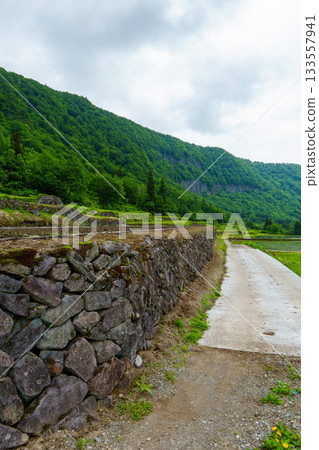 250531 岳日東的石牆稻田 133557941