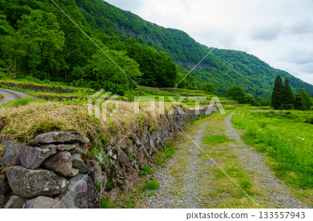 250531 Stone-walled rice fields in Yuehigashi 250531 Stone-walled rice fields in Yuehigashi 133557943
