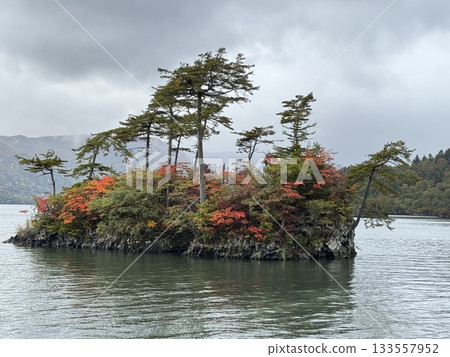 惠比壽大國島第二部 133557952
