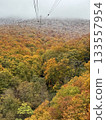 Autumn leaves of beech forest seen from the Hakkoda Ropeway 133557954