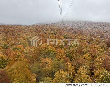 Autumn leaves of beech forest seen from the Hakkoda Ropeway, Part 2 133557955