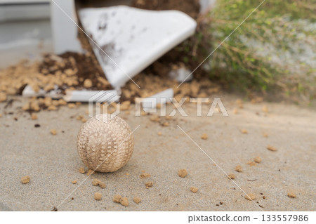 Broken flowerpot and baseball Broken flowerpot and baseball 133557986