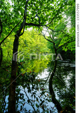 250602 龍久保 250602 龍久保 133557999