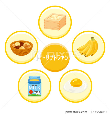 Illustration set of foods rich in tryptophan in Japanese Illustration set of foods rich in tryptophan in Japanese 133558035