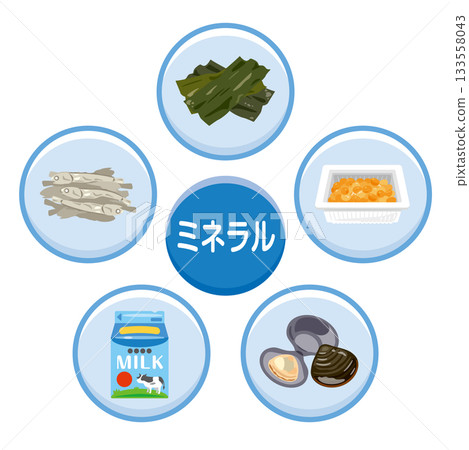 一組富含各種礦物質的食物插圖(日本) 一組富含各種礦物質的食物插圖(日本) 133558043