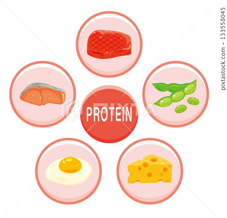 英文版各種富含蛋白質食物的插圖集 133558045