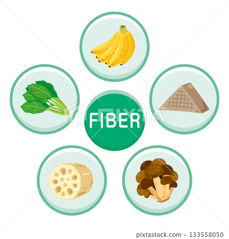 Illustration set of various foods rich in dietary fiber (English) 133558050