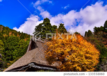 Blue sky, thatched roof and autumn leaves Blue sky, thatched roof and autumn leaves 133558060