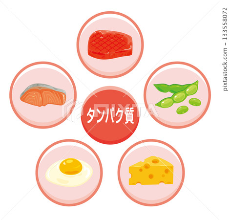 Illustration set of various protein-rich foods in Japanese 133558072