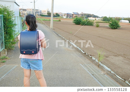 The back view of an elementary school student carrying a blue school bag. The contrast between the wide farmland and the single road is beautiful. 133558128