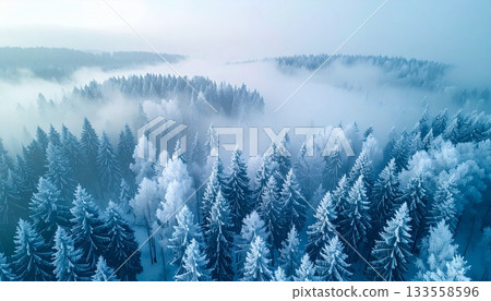Aerial view of a fantastic frosty forest. Winter scenery from above. Aerial view of a fantastic frosty forest. Winter scenery from above. 133558596