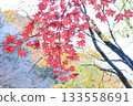 A combination of red and yellow leaves 1 (Mikado Valley, Manno Town, Nakatado District, Kagawa Prefecture) 133558691