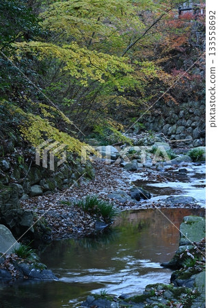 天門谷1（香川縣中多戶郡萬野町勝浦） 133558692