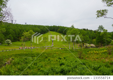 250606 Trekking at Mount Nyukasa 133558714