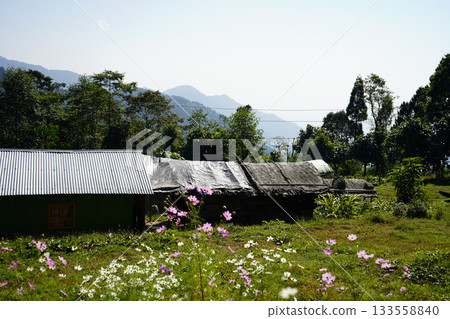 Rustic Village Hut in Himalayan Foothills with Wildflowers and Misty Mountains Rustic Village Hut in Himalayan Foothills with Wildflowers and Misty Mountains 133558840