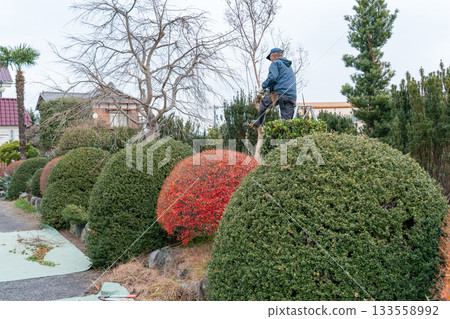 garden, pruning, gardeners 133558992