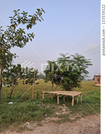 Rural landscape with wooden platform and distant trees 133559122