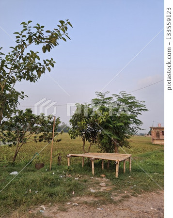 Rural landscape with wooden platform and distant trees Rural landscape with wooden platform and distant trees 133559123
