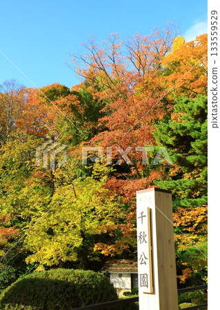 Akita-shi Chiaki Park 133559529