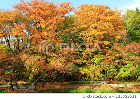 秋田市千秋公園 秋田市千秋公園 133559531