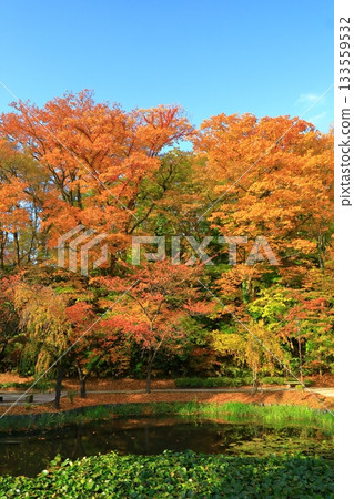 秋田市千秋公園 133559532