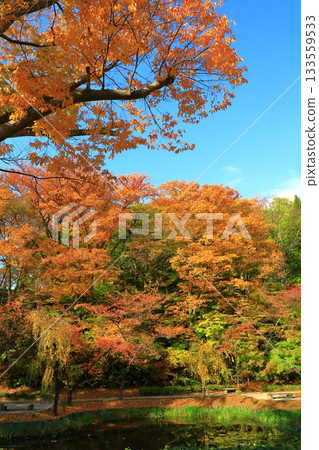 Akita-shi Chiaki Park 133559533