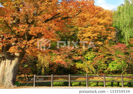 Akita-shi Chiaki Park Akita-shi Chiaki Park 133559534