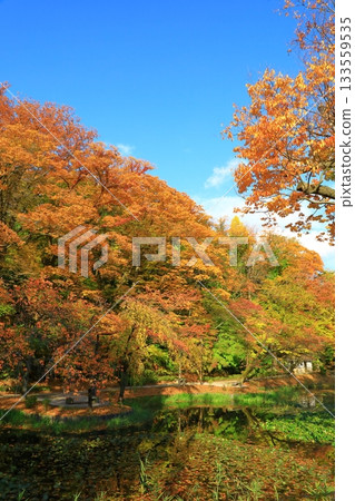 秋田市千秋公園 秋田市千秋公園 133559535