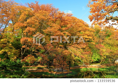 秋田市千秋公園 秋田市千秋公園 133559536