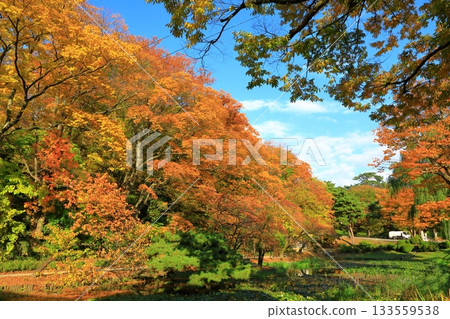 秋田市千秋公園 秋田市千秋公園 133559538