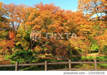 Akita-shi Chiaki Park Akita-shi Chiaki Park 133559539