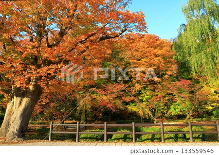 秋田市千秋公園 133559546